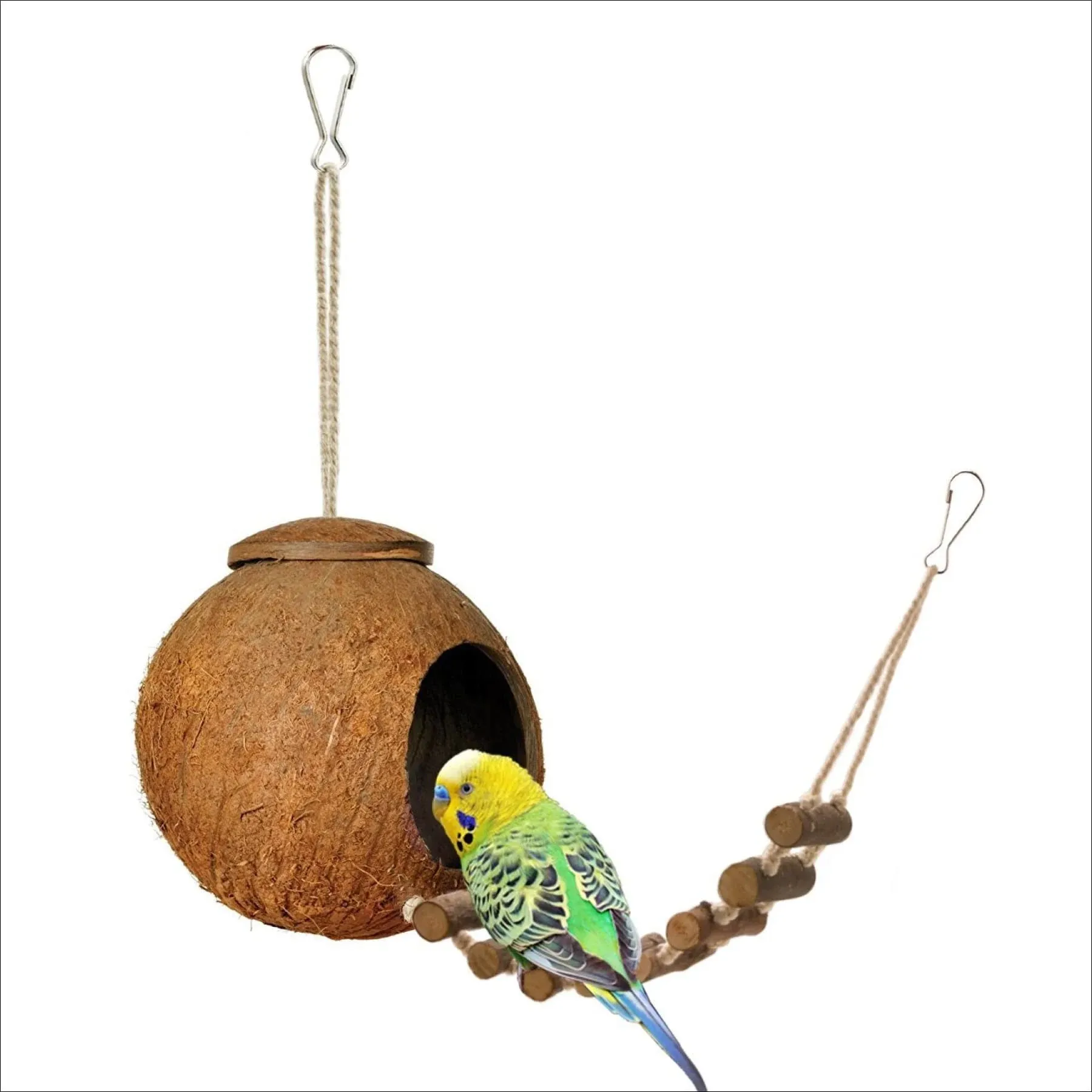 Niteangel Natural Coconut Hideaway with Ladder, Bird and Small Animal Toy (House with Ladder, Natural Surface)