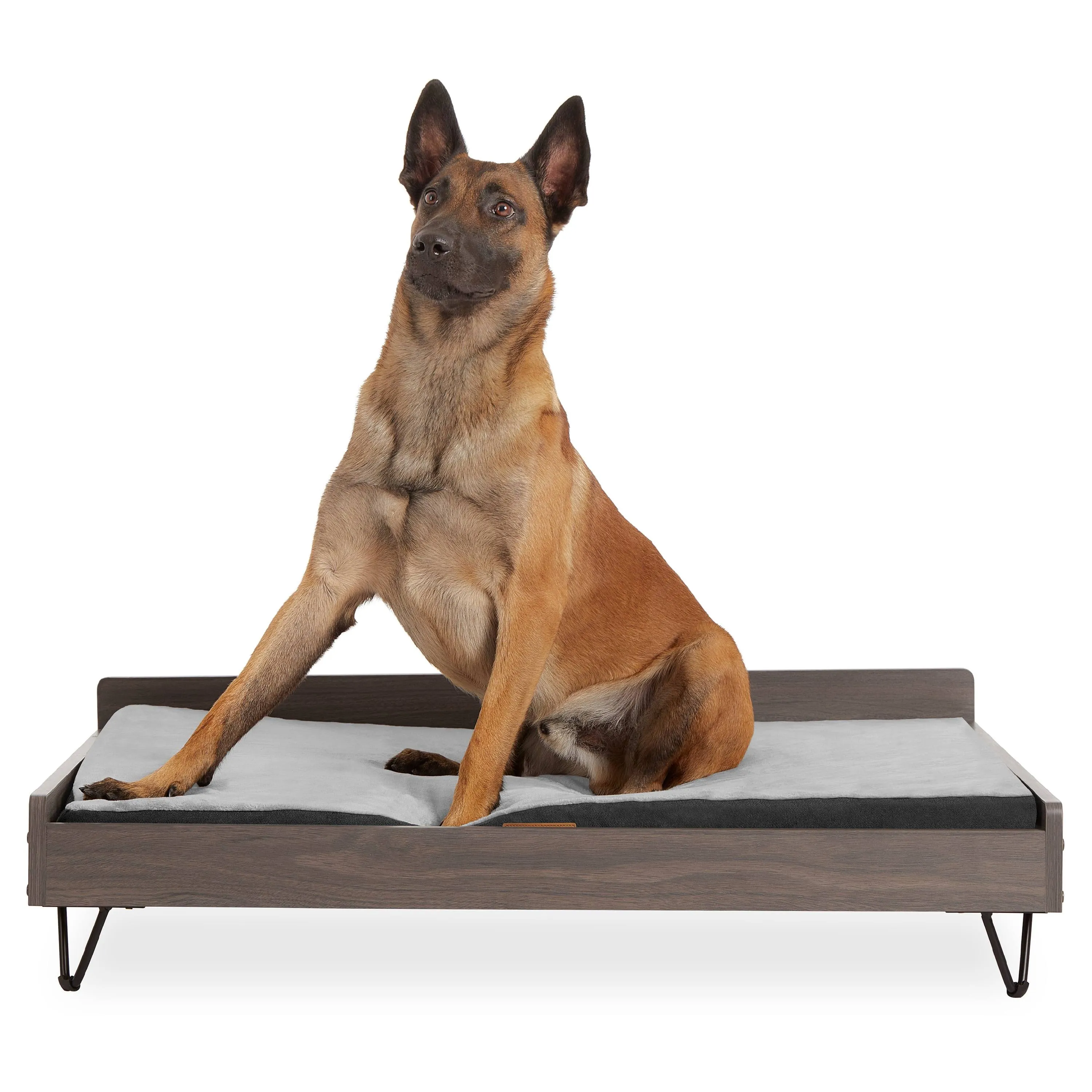 Wooden Dog Bed and Dog Couch with Water-Resistant and Calming Mattress, Large to Extra Large Elevated Pet Bed, Greenguard Gold Certified, Dog Beds & Furniture, Chase