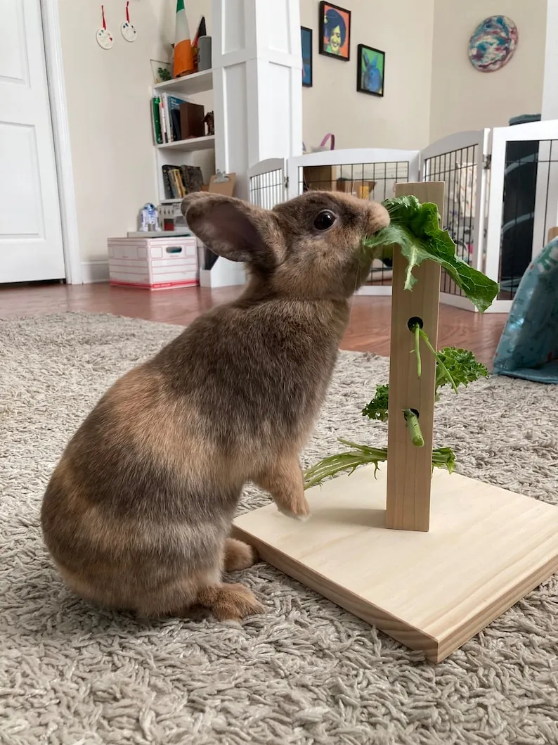 Wooden Foraging Toy for Small Pet - 4 in 1 Interactive Hide Treats Puzzle Snuffle Game, Mental Stimulation Toy for Guinea Pig,Rabbit,Hamster,Hedgehog, Chinchilla, Mouse,Rats,Sugar Gilders