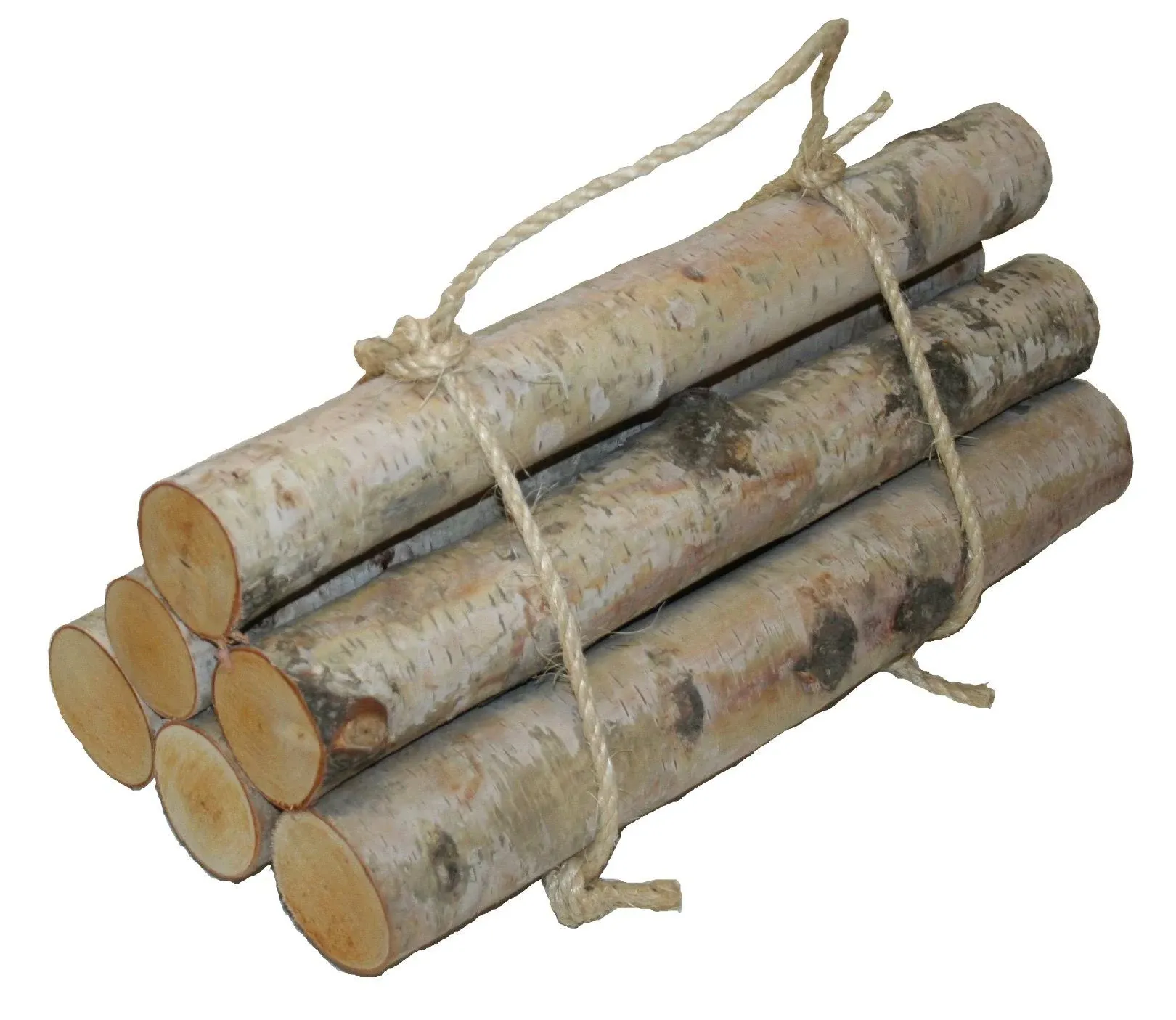 Roped Bundle of Birch Logs (set of 6)