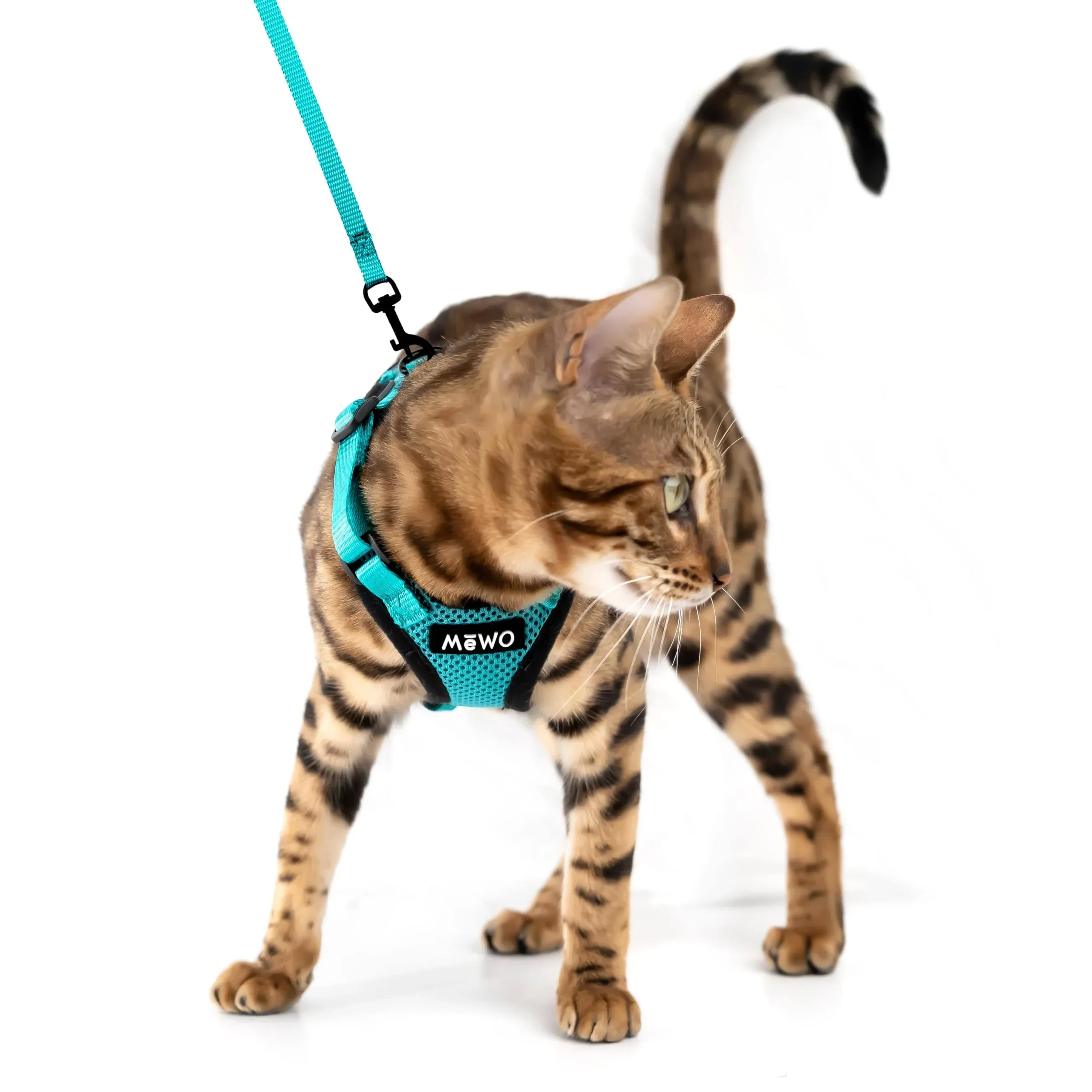 Mewo Cat Harness and Leash - Escape Proof, Soft, Comfortable, Reflective ...