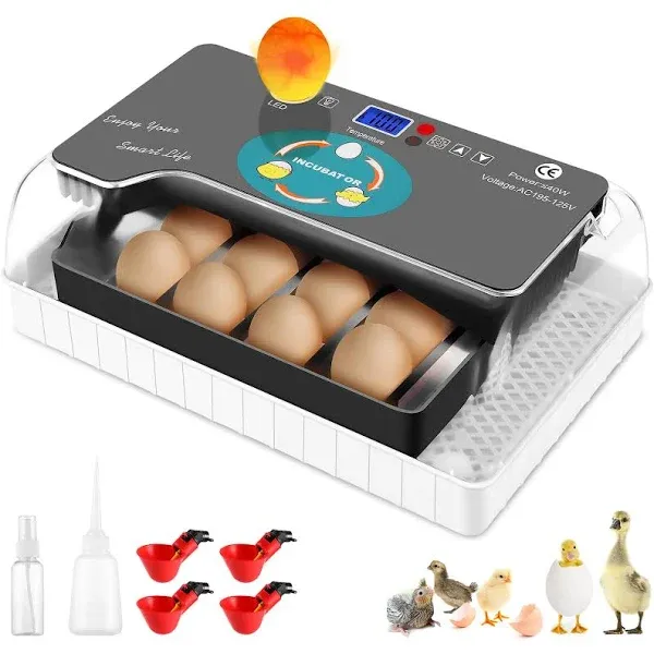 Egg Incubator, Automatic Digital Poultry Hatching Machine with Auto Egg Turn ...