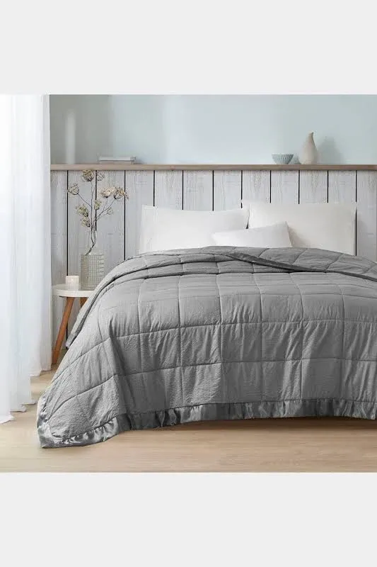 Madison Park Cambria Premium Oversized Down Alternative Blanket