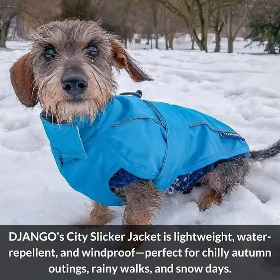 Django City Slicker All-Weather Dog Jacket & Water-Repellent Raincoat with Reflective Piping (Small Topaz Blue)