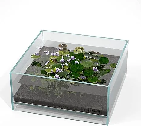 Landen Glass Air Aquarium Tank