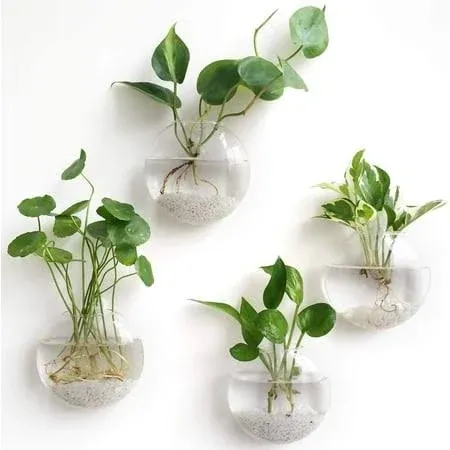 Wall Hanging Glass Terrariums Planter Oblate Flower Vase for Hydroponics Plants ...