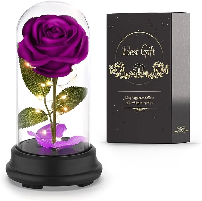 Preserved Flower Rose Gift in A Dome,Valentines Day Gift for Her,Angel Rose Gift for Her,Mom Gifts from Daughter,Black Rose Gifts for Mom Grandma Wife