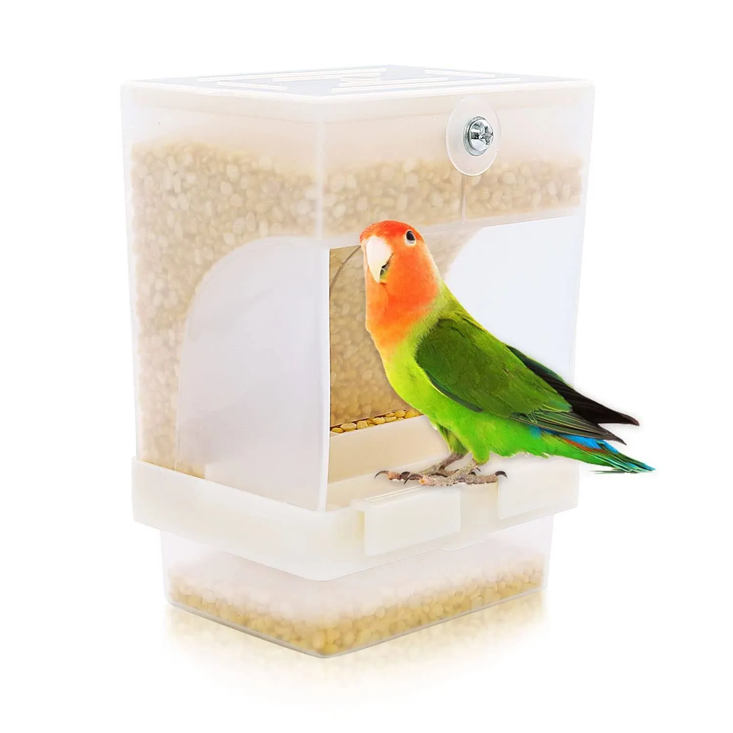 Rypet No-Mess Bird Feeder with Parrot