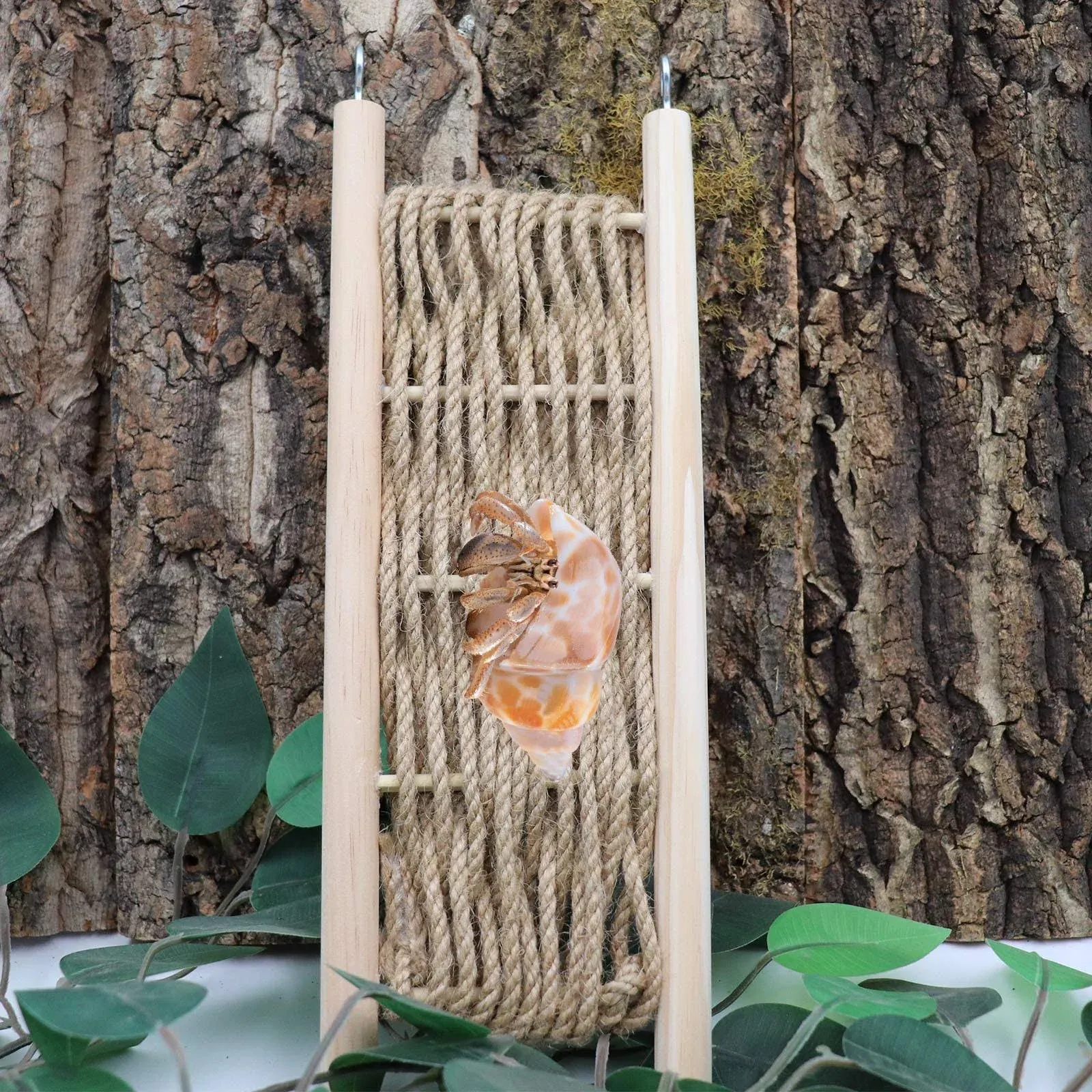 Hermit Crabs Climbing Ladder Bridge, Rope and Wood Reptile Climbing Toy, Small ...