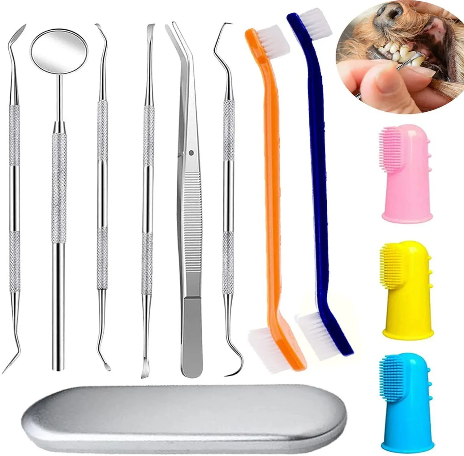 Teeth Cleaning Kit Dog Plaque Tartar Remover Tools Pet Dental  Assorted Sizes 