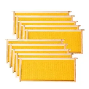 MayBee Hives--Deep or Brood Size Beehive Frames and Foundations10 Pack Honey...