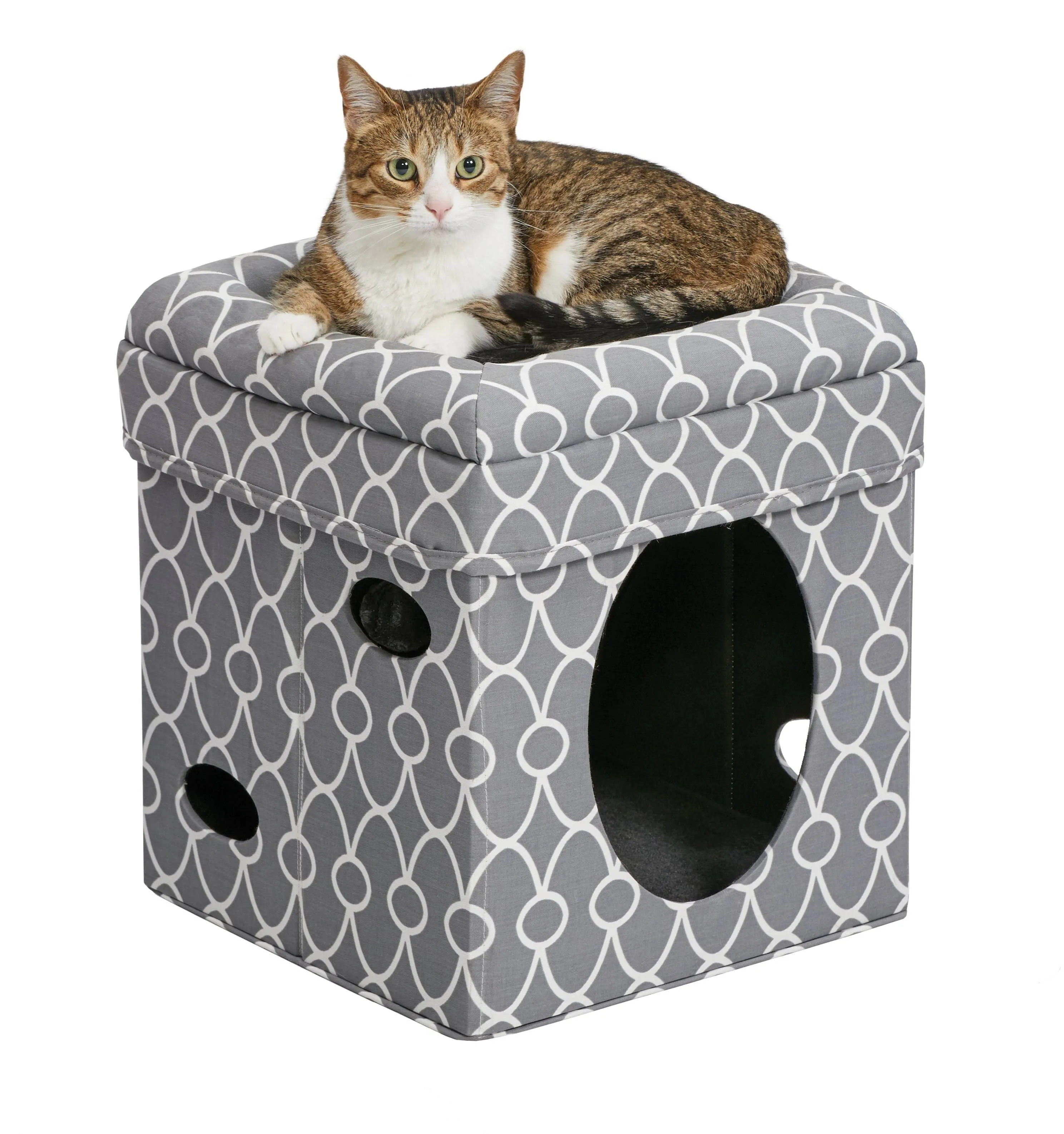 Midwest Curious Cat Cube Gray