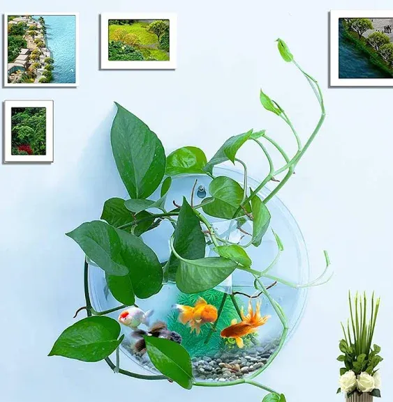 Clear Transparent Acrylic Wall Mounted Hanging Fish Bowl Bubble Aquarium Tank ...