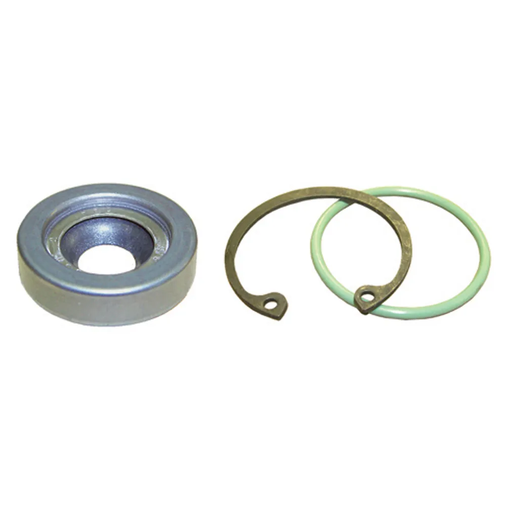 AC System O-Ring and Gasket Kit