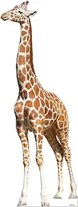 Cardboard People Giraffe Life Size Cardboard Cutout Standup