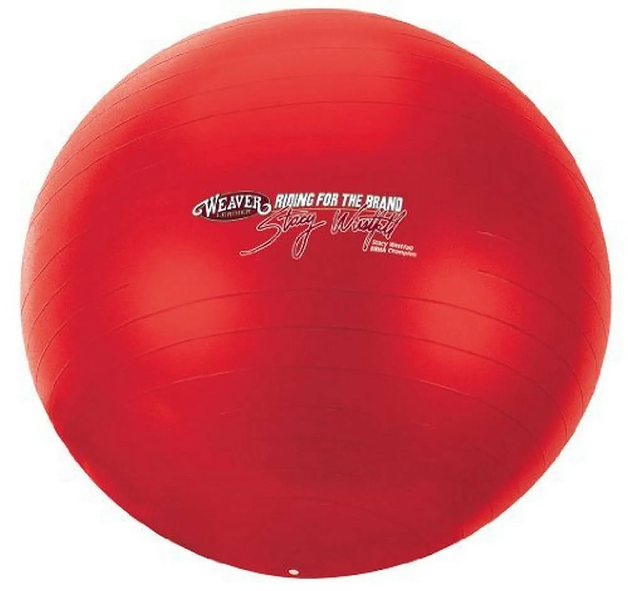 Stacy Westfall Activity Ball, Large