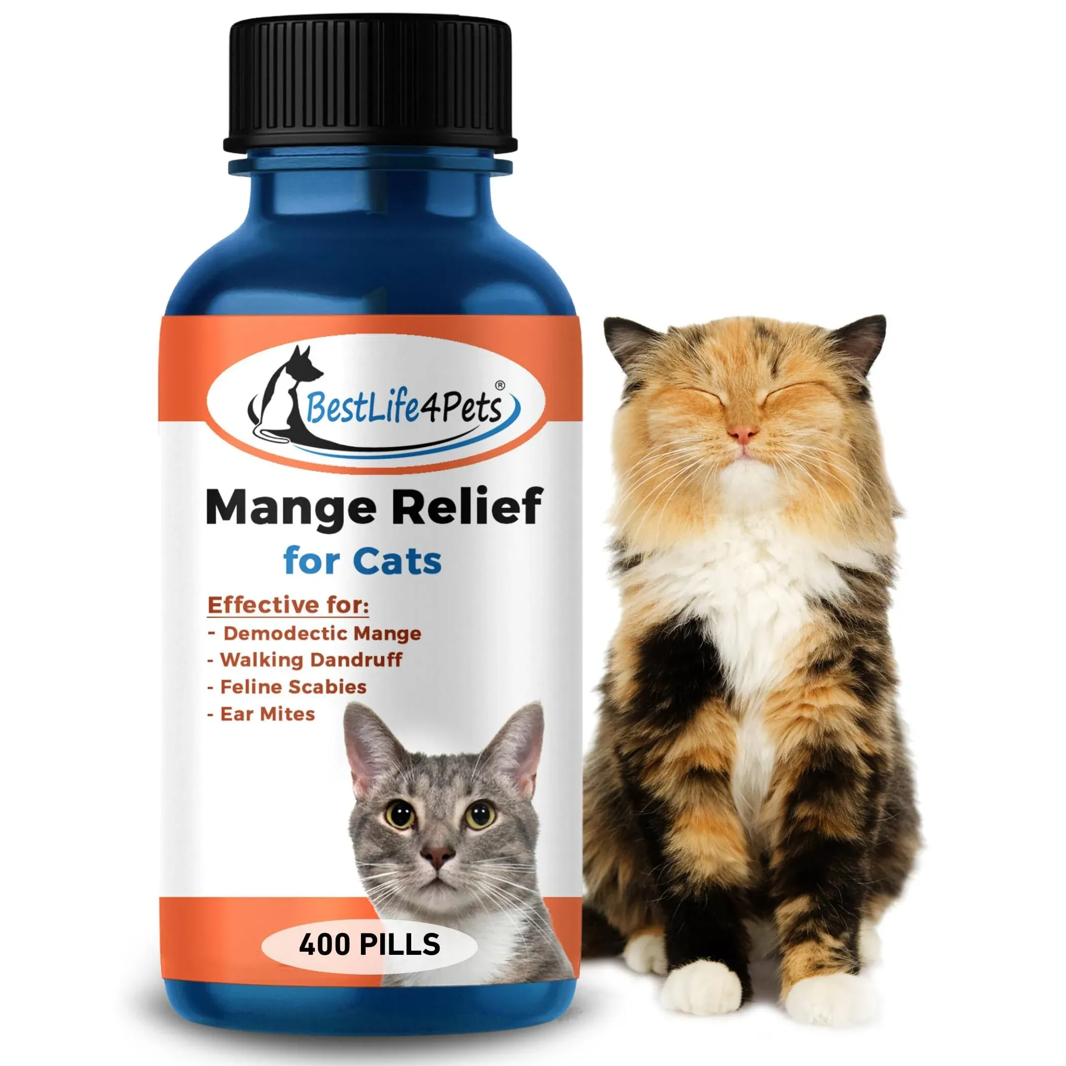 Demodectic Mange and Scabies Relief for Cats Itching Relief Healthy Feline Coat