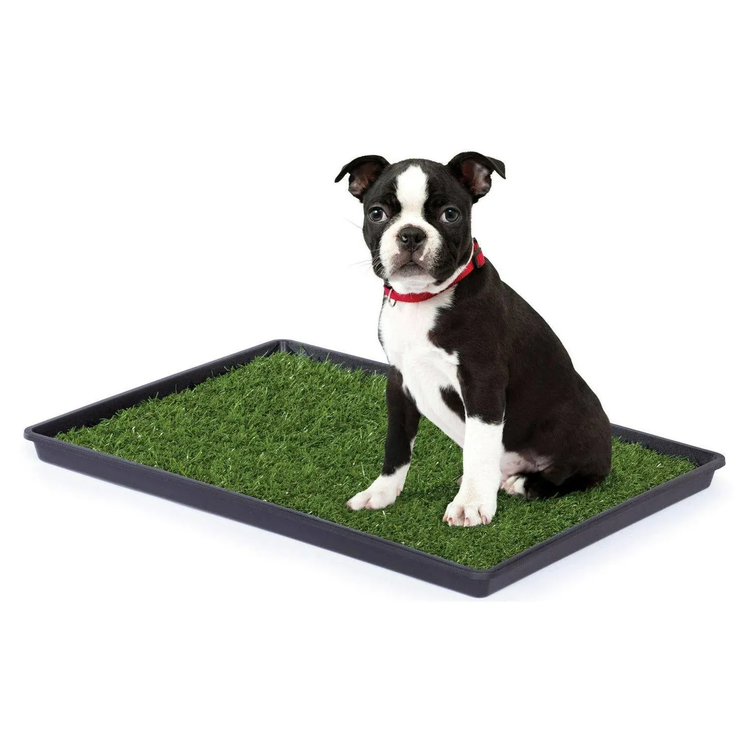 Prevue Hendryx Pet Tinkle Turf, L, 29" x 41"