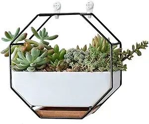 Vanenjoy 7&#034; White Ceramic Wall Planters Vase and Copper,Drainag<wbr/>e Hole with Bambo