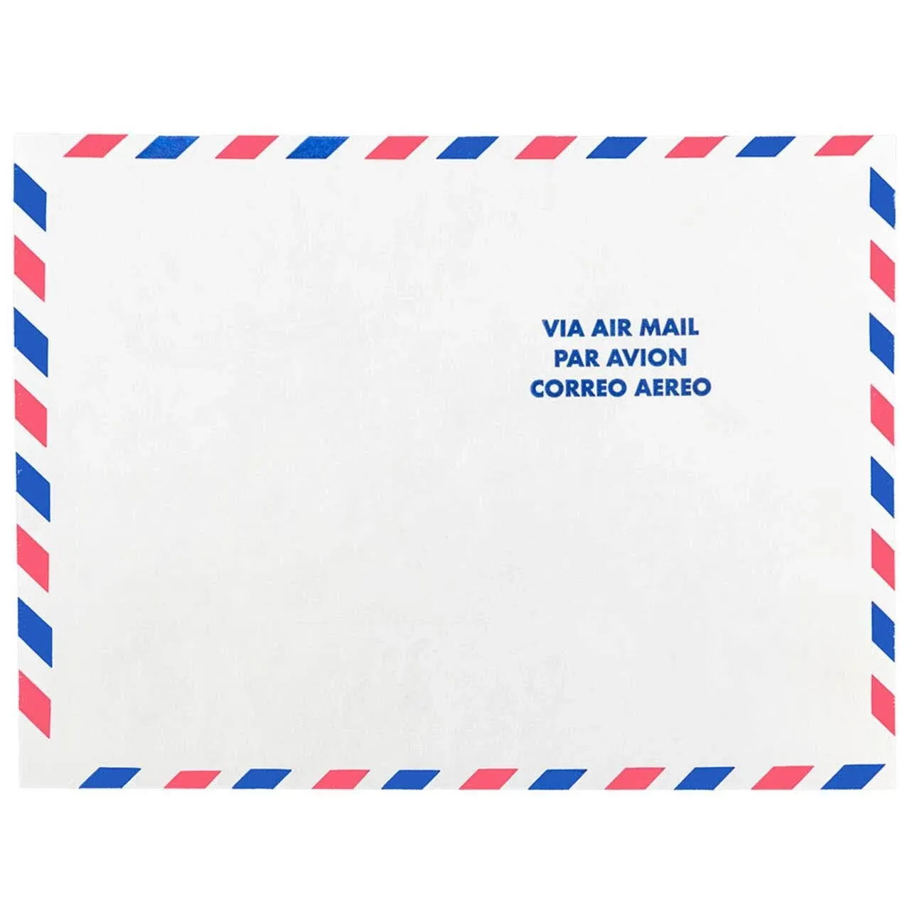 JAM Paper Tyvek Tear-Proof Open End Catalog Envelopes