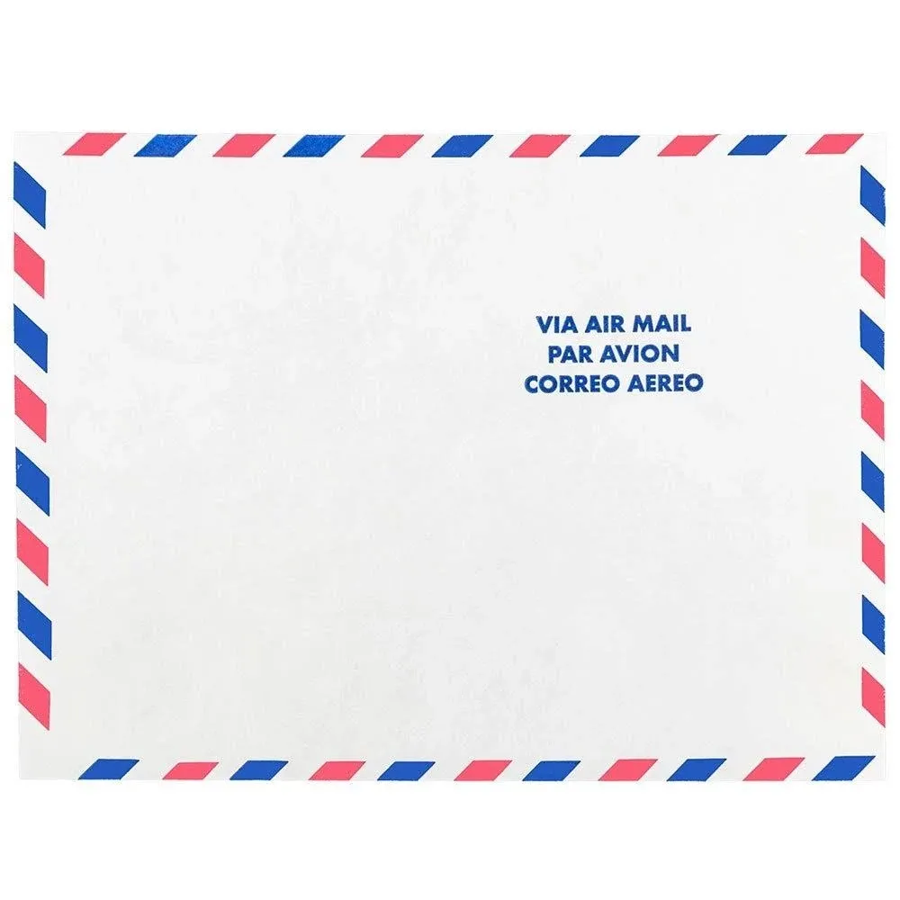 JAM Paper 9 x 12 Tyvek Tear-Proof Open End Catalog Envelopes White Airmail