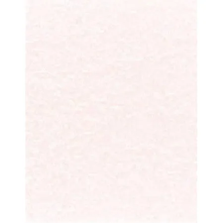 NextParch 8-1/2" x 11" (Letter Size) 65 lb. Parchment Cover Card Stock (Natural)