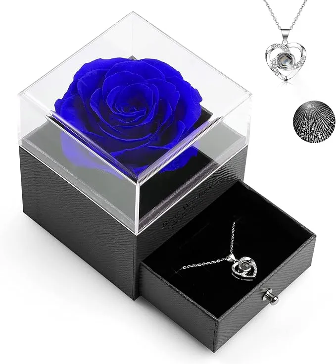 Preserved Real Rose with Heart Necklace and Greeting Card. Forever Gifts NEW