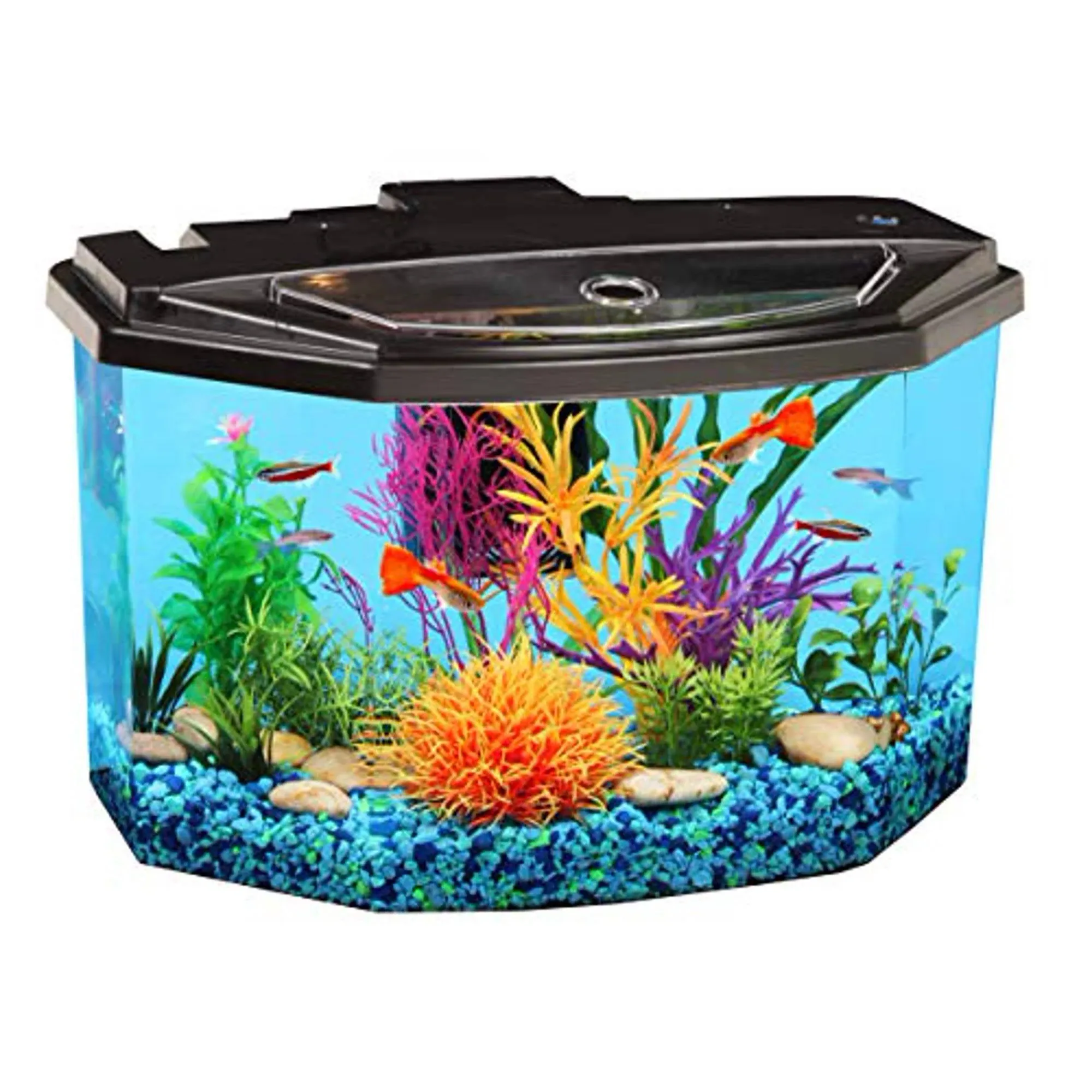 Hawkeye 3-Gallon Semi-Hex Aquarium with LED Lighting and Power Filter