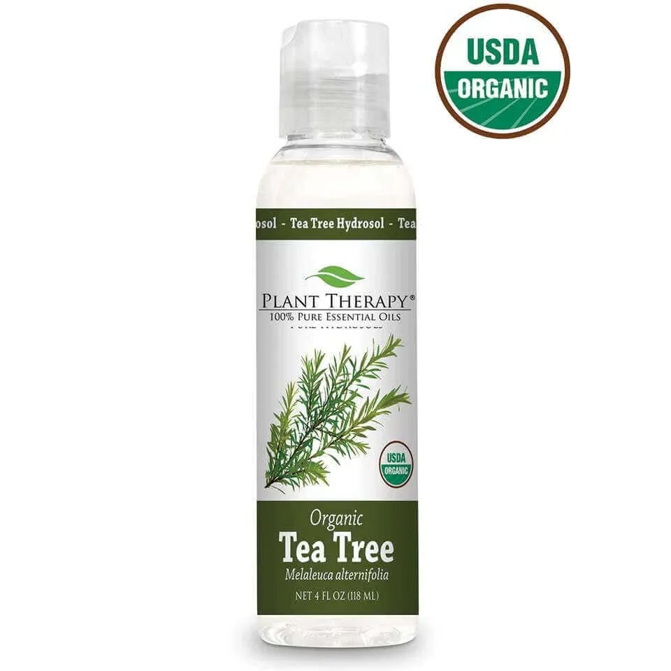 Plant Therapy Organic Tea Tree Hydrosol 4 oz