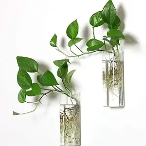 Wall Hanging Planter Glass Terrariums - Rectangle Shape Plants Holders