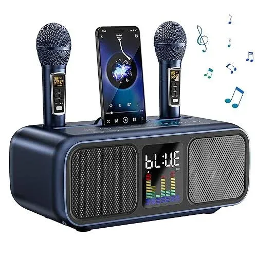 SINWE Karaoke Machine for Adults & Kids,Portable Bluetooth Speaker with 2 UHF ...