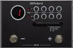 Roland TM-1 Dual Input Trigger Module with WAV Manager Application (TM-1)