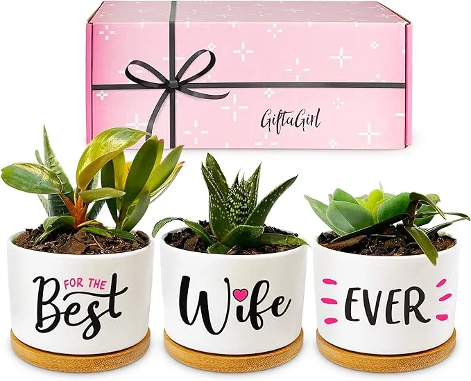 Gifts for Her - Birthday Gifts for Wife &amp; Gifts for Her for Anniversary - Mot