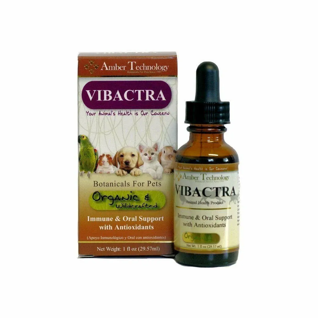 Amber Technology Vibactra - All-Natural Antibiotic Alternative for Pets (1oz)