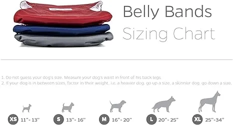 Pet Parents Washable Belly Bands for Dogs (3 Pack) | Male Dog Wraps | Dog Diapers ...