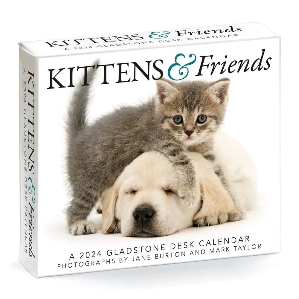 Gladstone Media,  Kittens &amp; Friends 2024 Desk Calendar