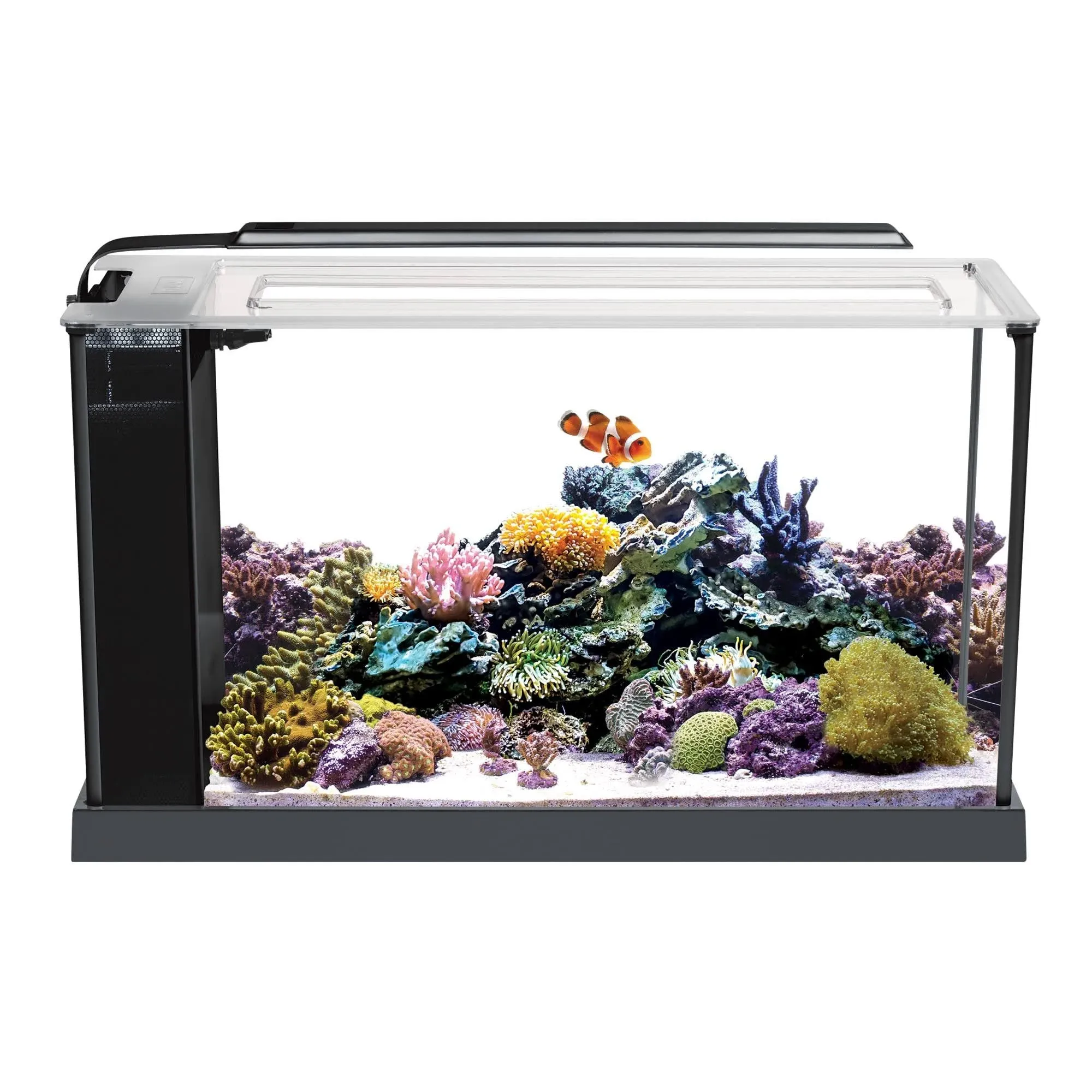 Fluval Evo V Marine Aquarium Kit