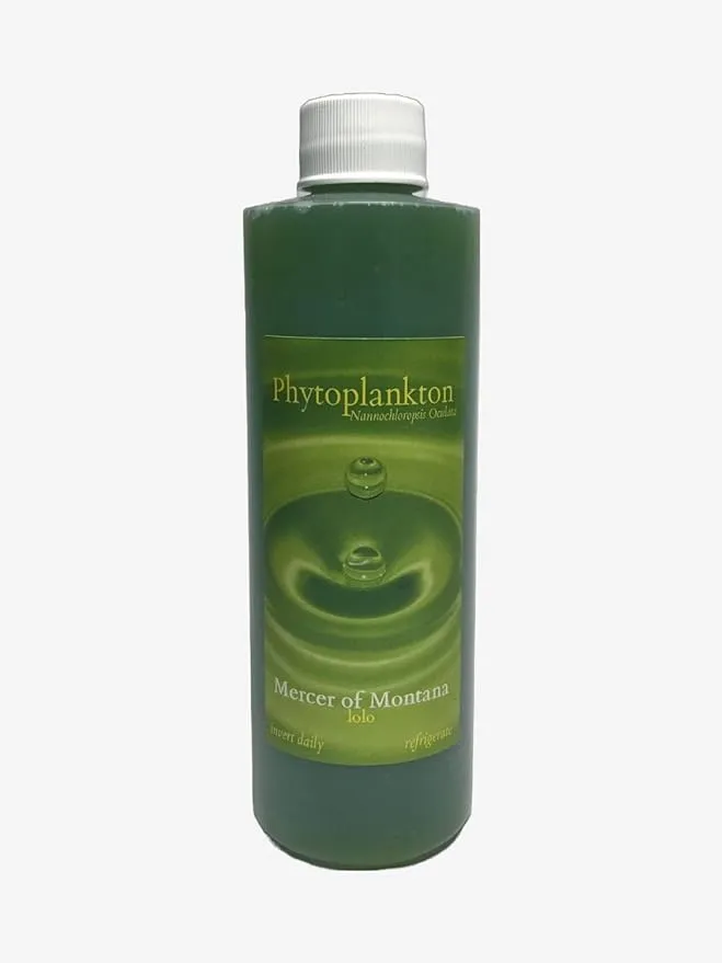 Nannochloropsis Phytoplankton (8oz) Cultured by Mercer of Montana