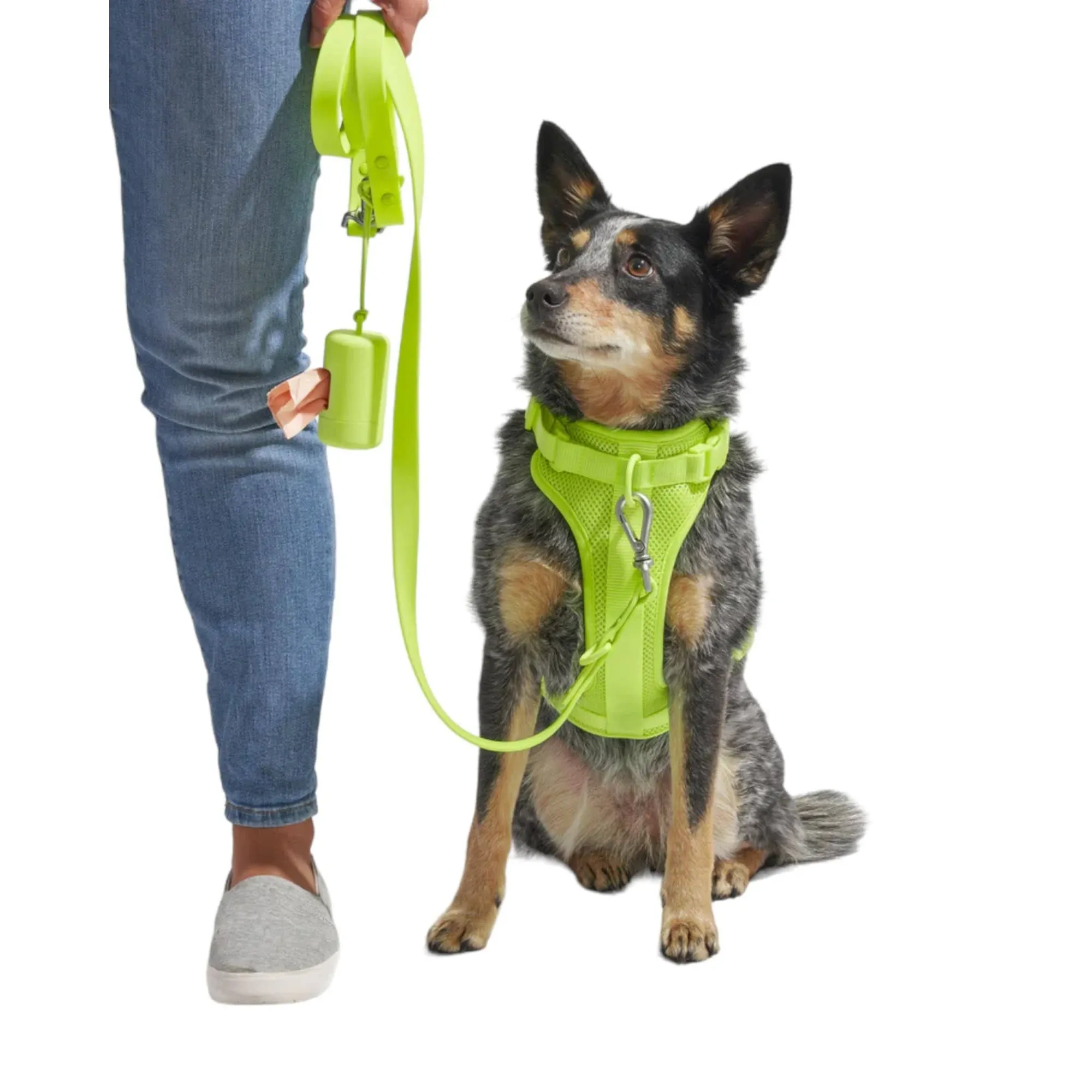 WILD ONE Dog Leash Standard Size Limeade