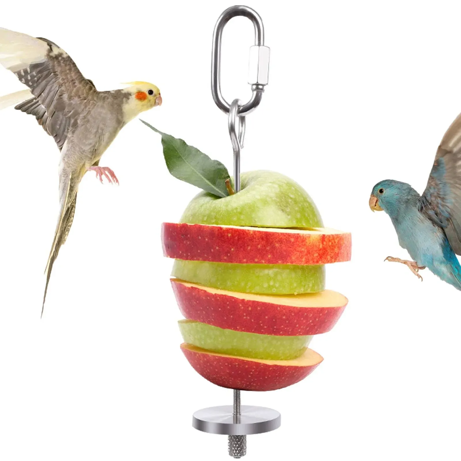 QBLEEV Bird Food Holder Bird Feeders Stainless Steel Parrot Fruit Vegetable S...