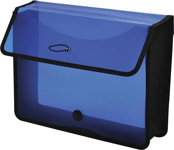 Lion EXPAND-N-FILE Letter File Wallet - Transparent Blue