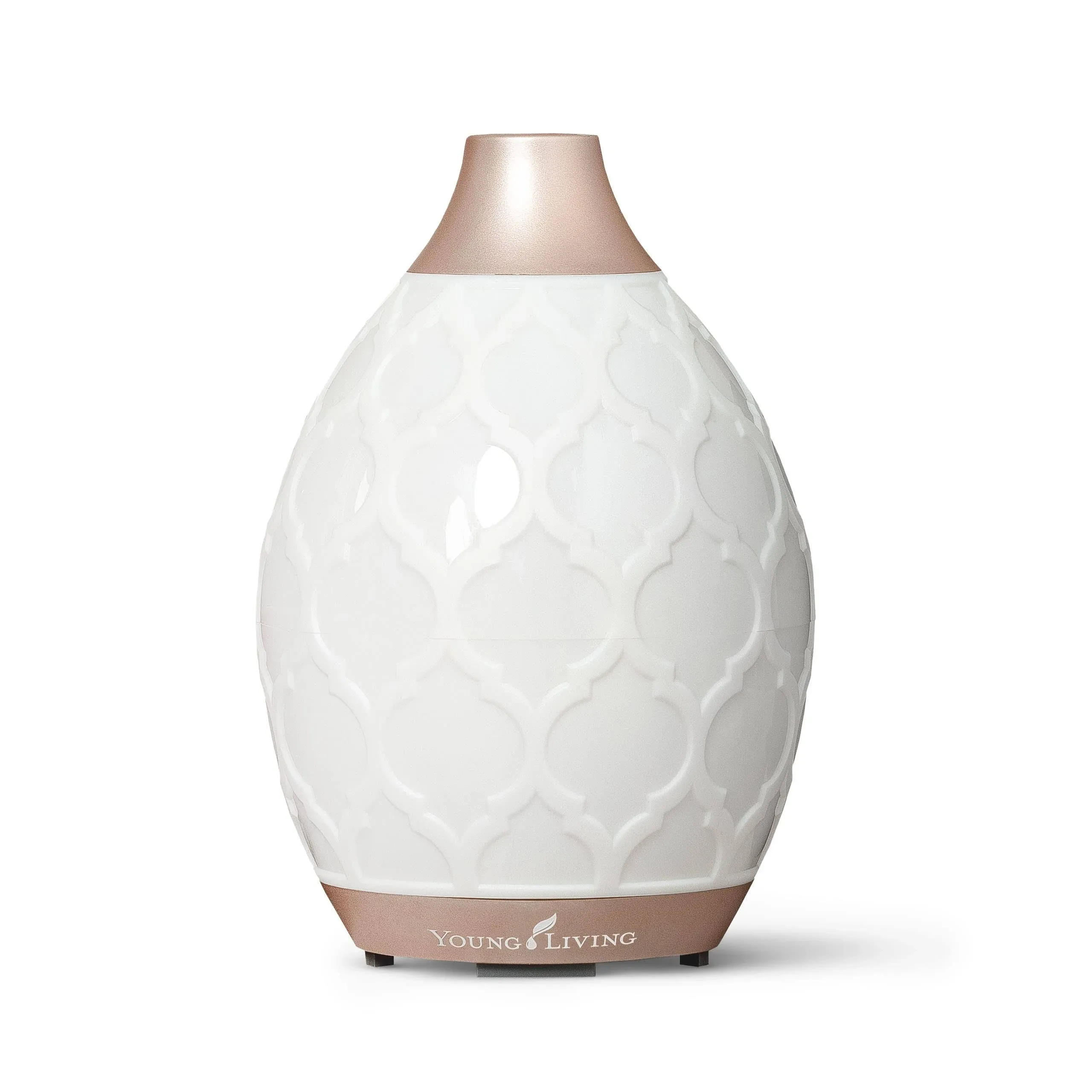 Desert Mist Diffuser