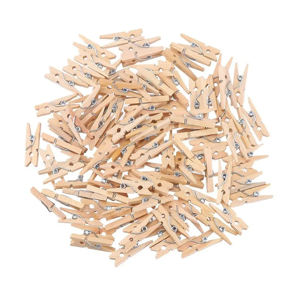 DECORA Sturdy 1 Inch Mini Wooden Craft Clothespins 100pcs