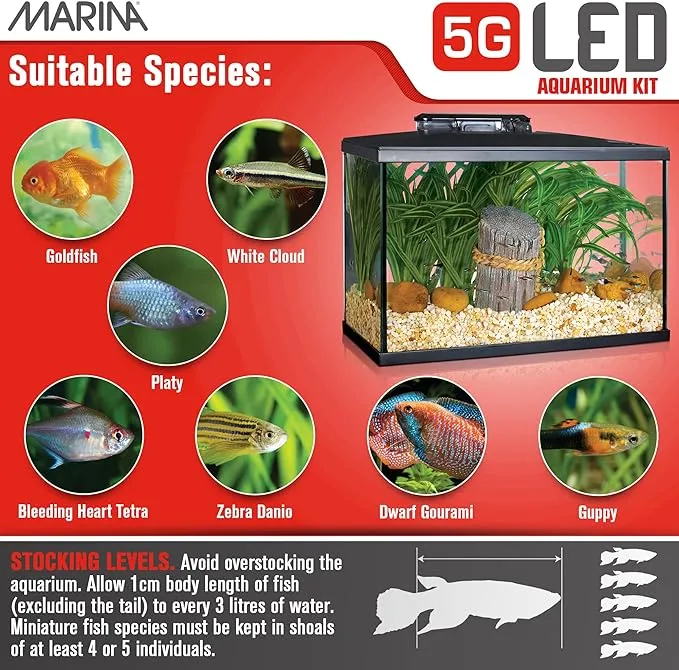 Marina LED Aquarium Kit 20 Gallon