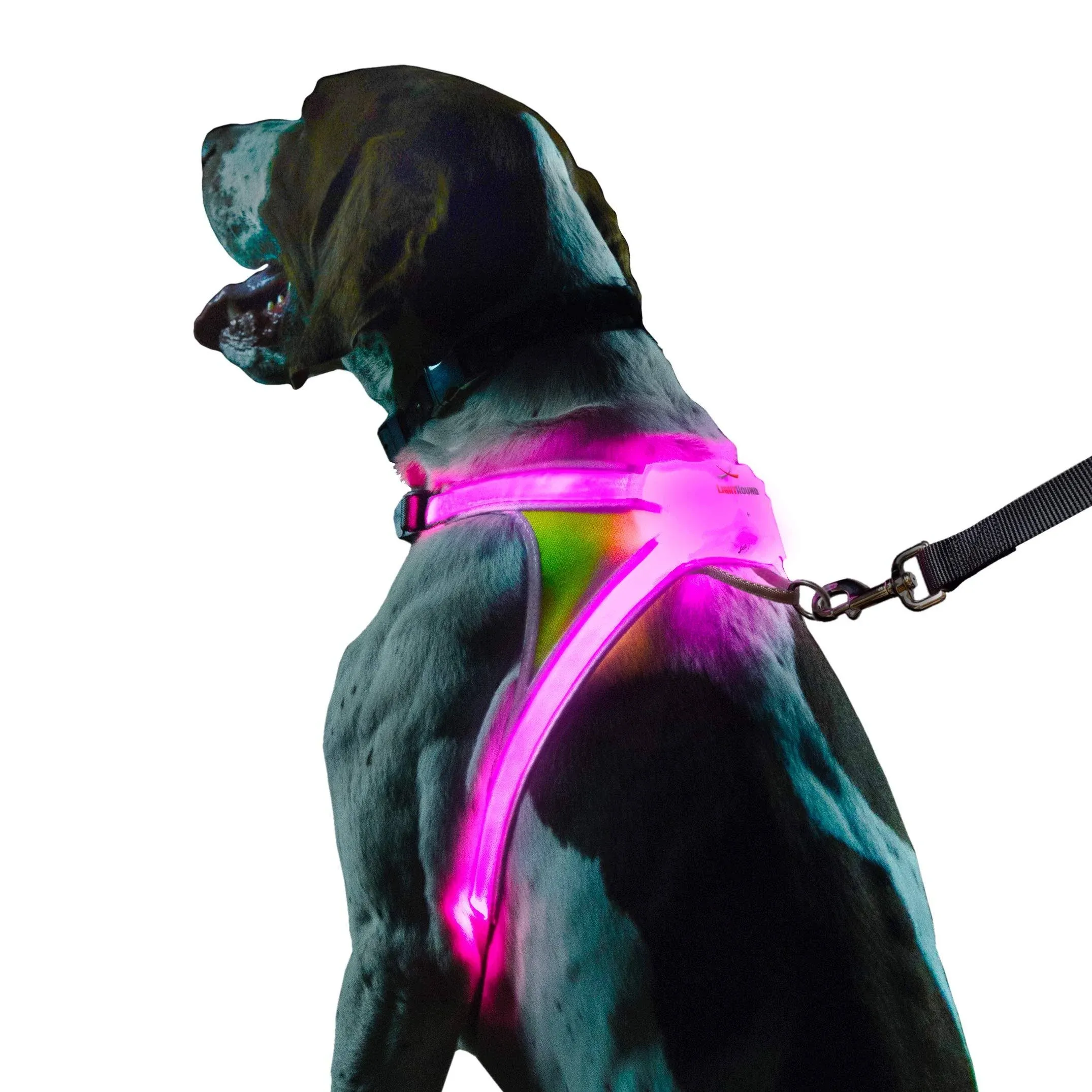 LightHound Harness Small