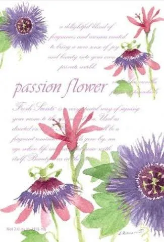 Willowbrook | Fresh Scents Scented Sachet Packet | Passion Flower | Air Freshener Bags for Drawers, Closets, Cars | 3 Pack | Long Lasting Home Fragrance