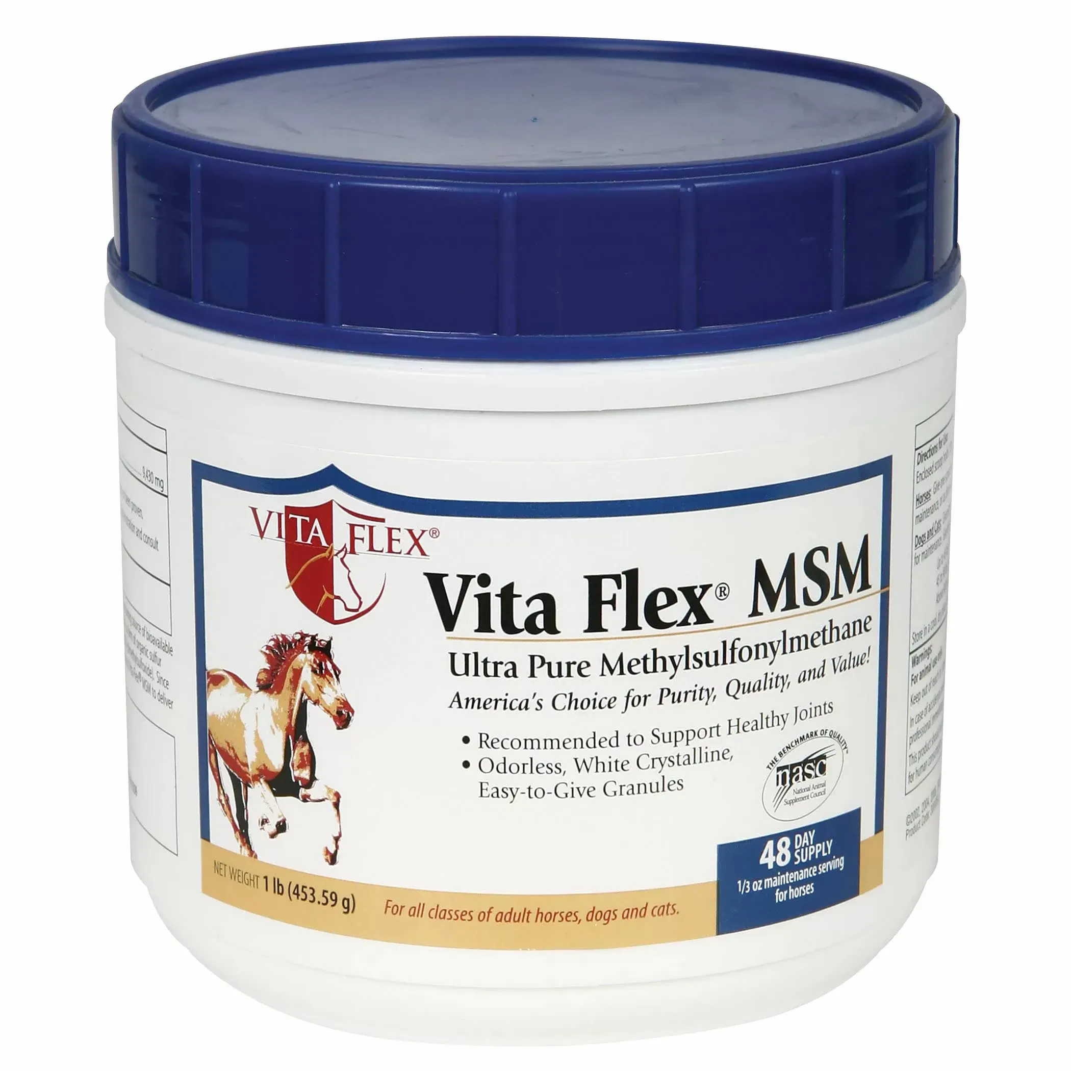 Vita Flex MSM (1 lb)