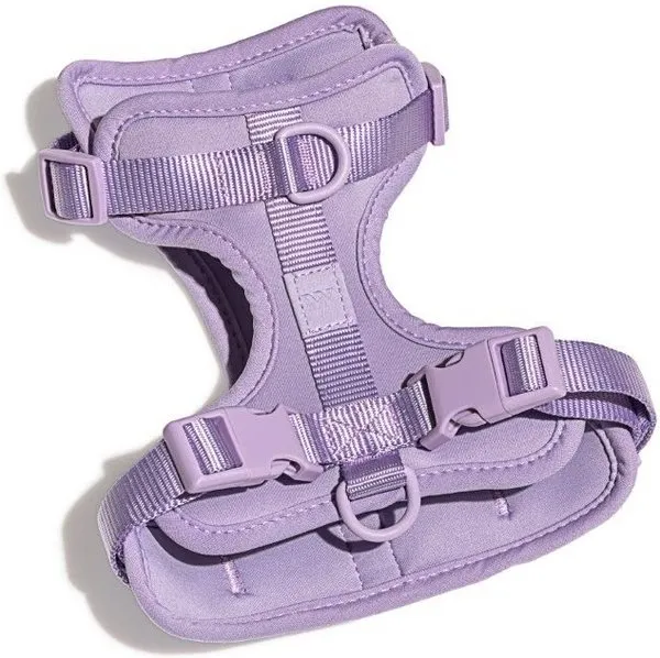 Lilac Harness Wild One