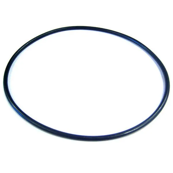 Hayward Cover O-Ring SP0714T