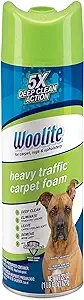 BISSELL Heavy Traffic Carpet Foam, Gain, 22oz (Pack of 4), 14399